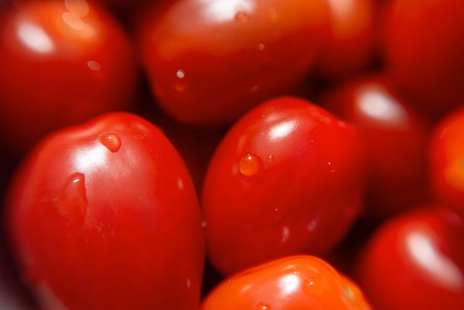 Hortifruti